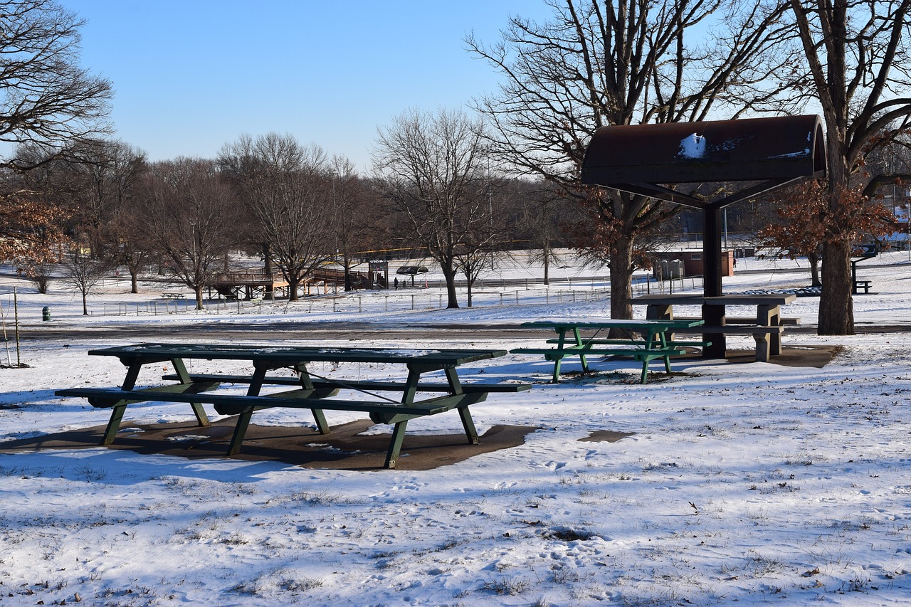 How to Make Your Picnic More Sustainable?